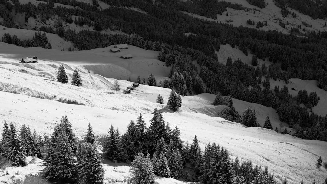 Cutting the cost in Grindelwald