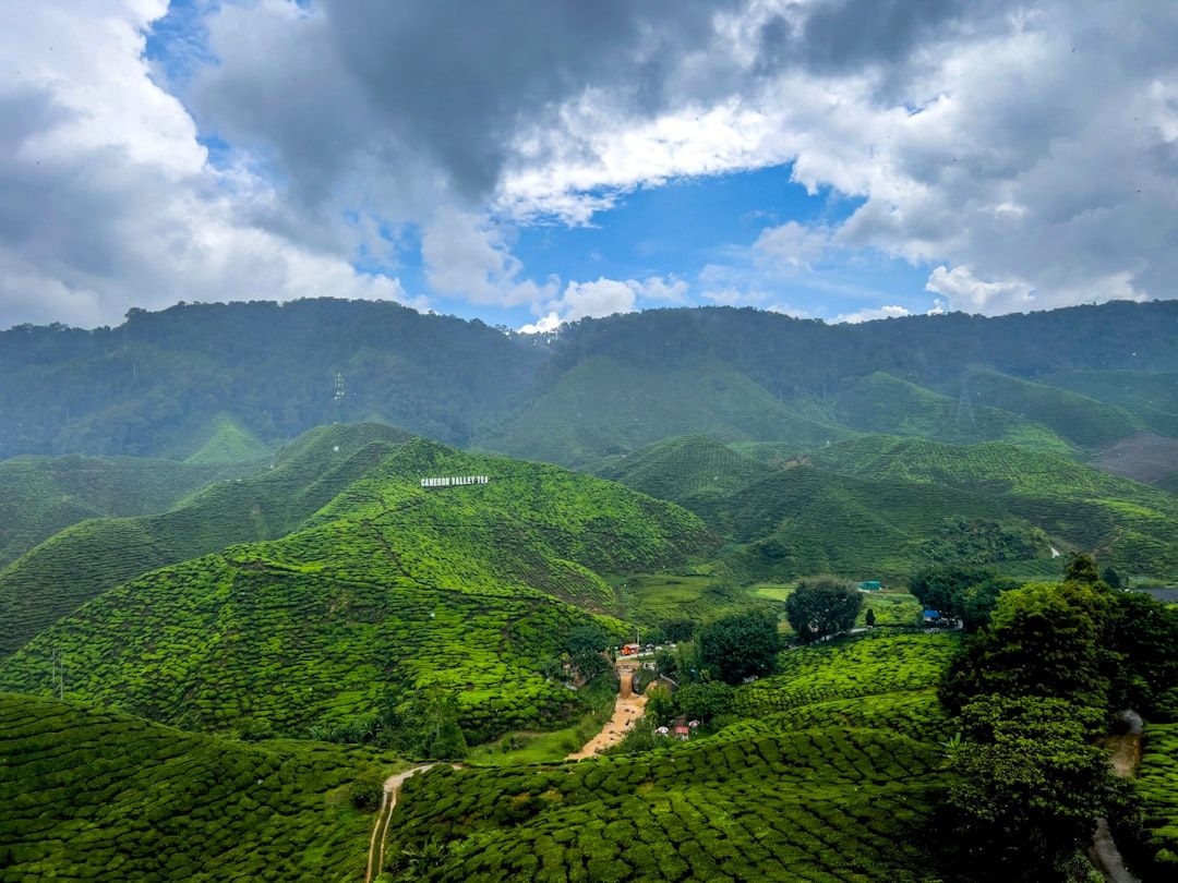 Malaysia countryside nature landscape