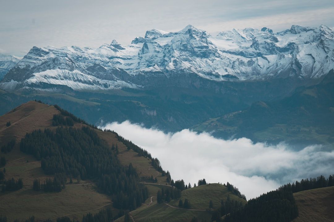 Deserves the reputation in Courmayeur