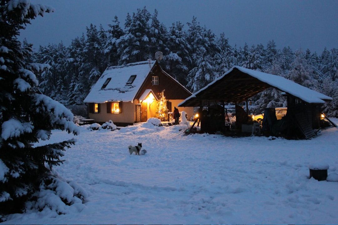 Winter in Odda