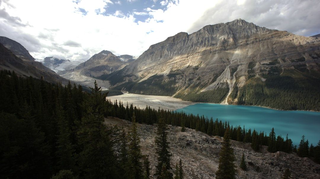 The coast in Banff