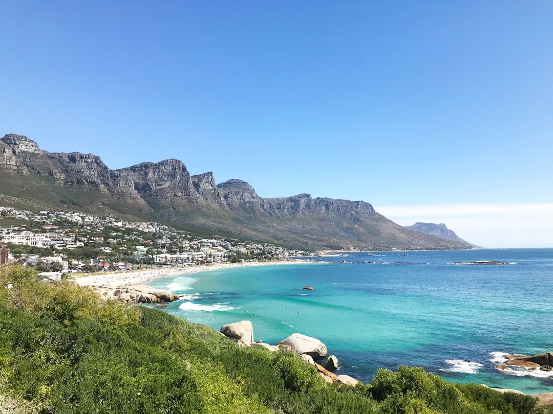 boulders beach cape town penguins african accommodation