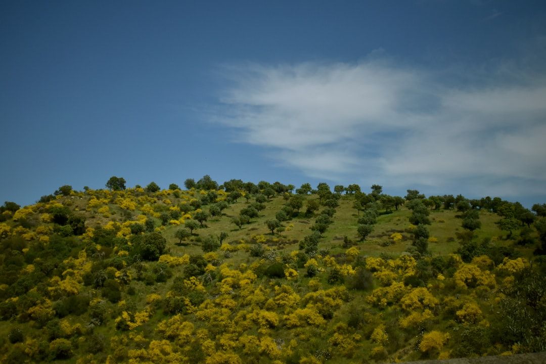 Portugal countryside nature landscape
