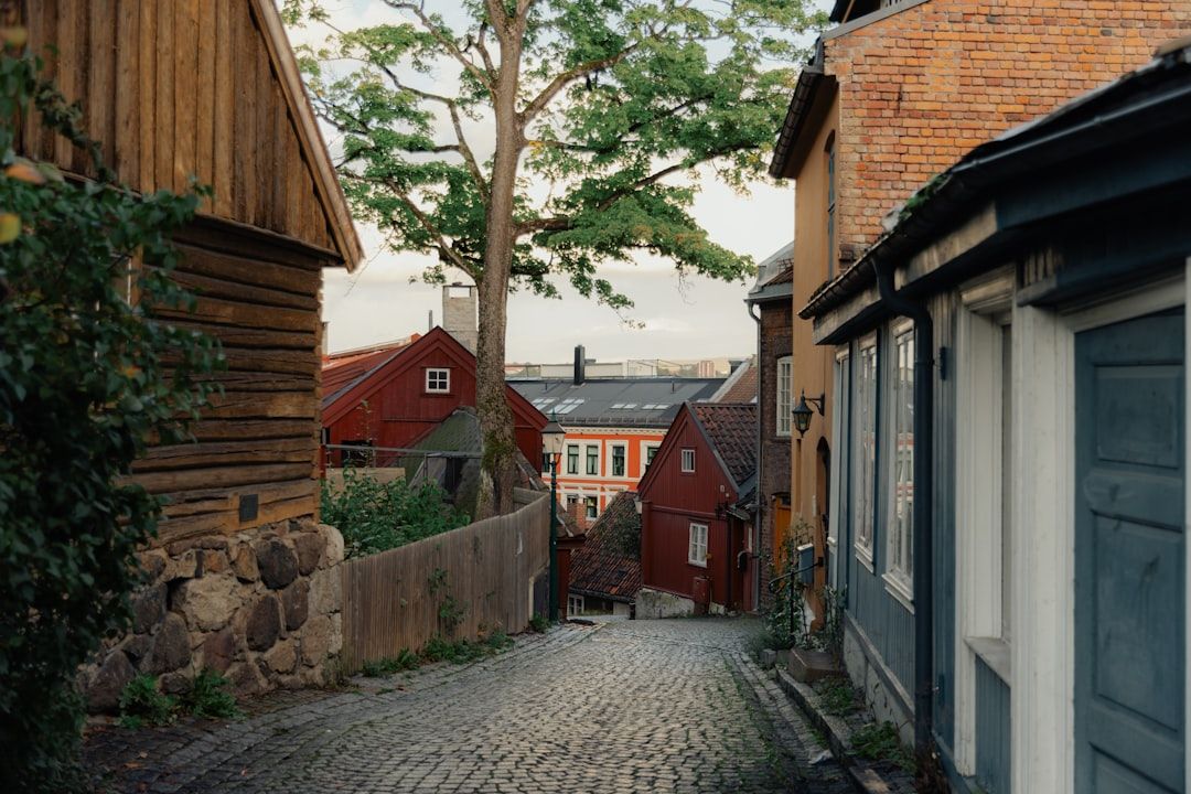 The famous three in Odda